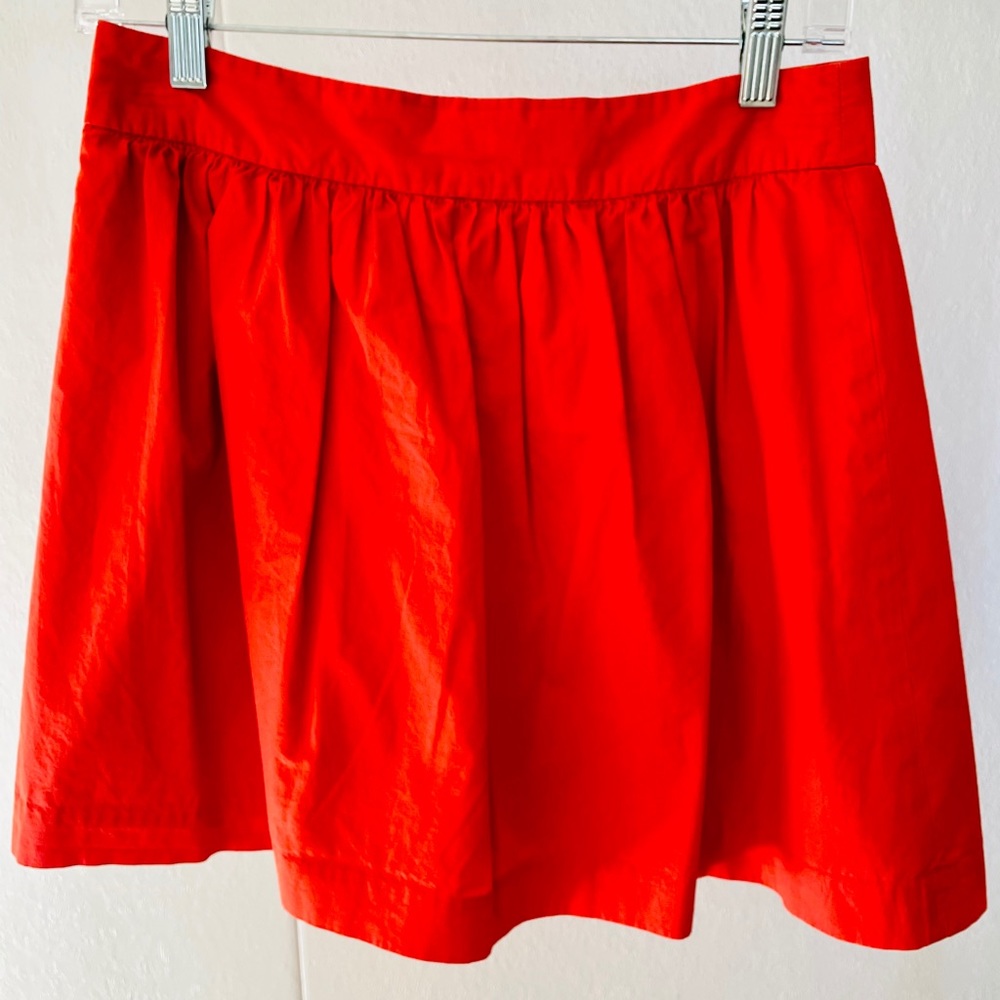 Dressy Skirt